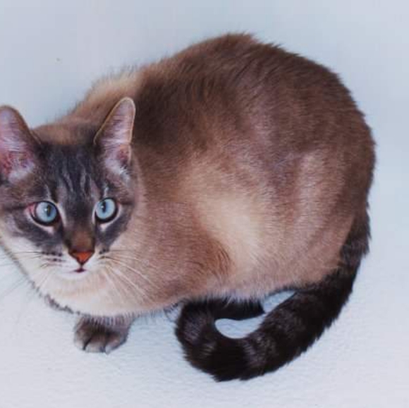 🌺 𝐖𝐞𝐧𝐝𝐲 🌺 - Pᴏsʜᴍᴀʀᴋ Aᴍʙᴀssᴀᴅᴏʀ - Picture 5 of 9